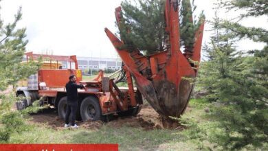 Kayseri Büyükşehir'den yeşil harekat