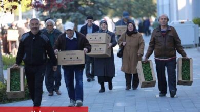 Kayseri Kocasinan'da organik etkinlik