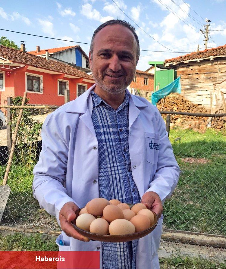 Kocaeli'de yüzde 50 hibeli yumurta tavuğu