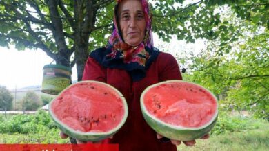 Kocaeli'den üreticilere destekler sürüyor