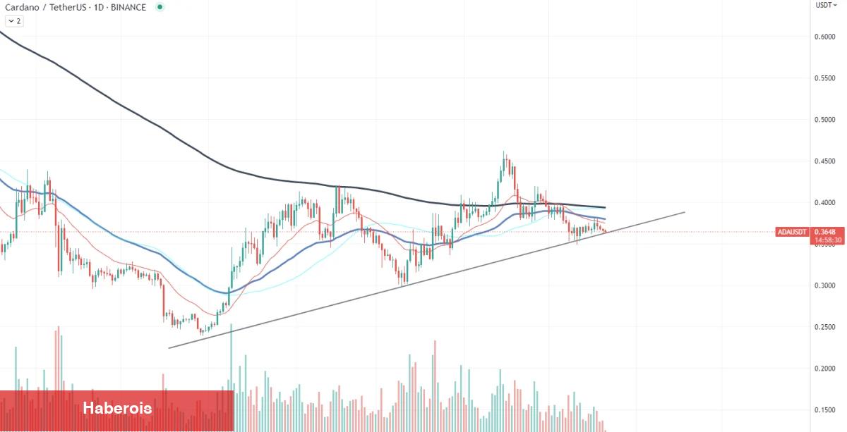 Kurumsal Balinaların Radarında Bu 2 Altcoin Var!