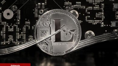 Litecoin Bu Yaz Hakikaten Parabolik Olabilir mi?