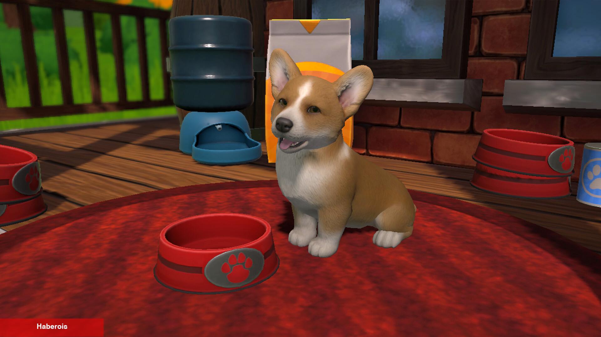 Little Friends: Puppy Island gerçekçi köpek yetiştirme tecrübesi sunmayı hedefliyor - Haberois Little Friends: Puppy Island gerçekçi köpek yetiştirme tecrübesi sunmayı hedefliyor