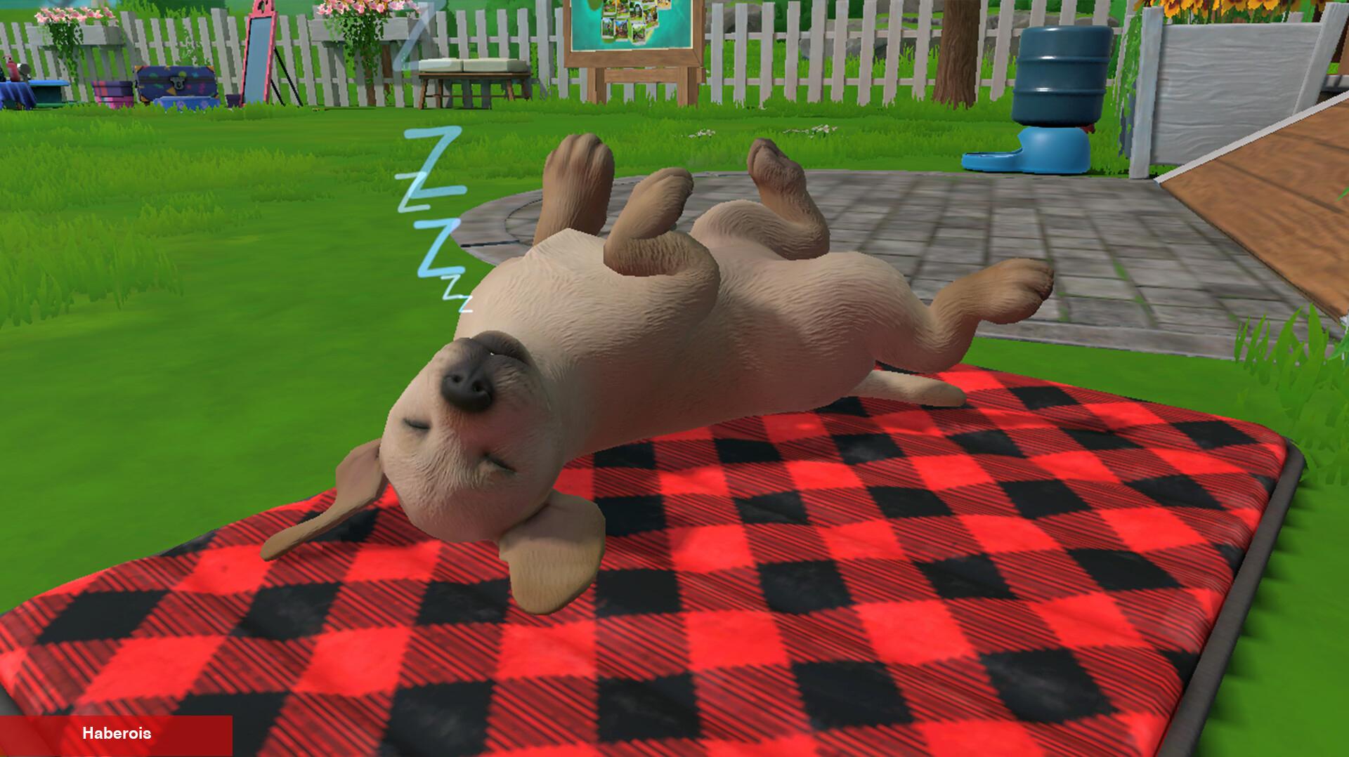 Little Friends: Puppy Island gerçekçi köpek yetiştirme tecrübesi sunmayı hedefliyor - Haberois Little Friends: Puppy Island gerçekçi köpek yetiştirme tecrübesi sunmayı hedefliyor