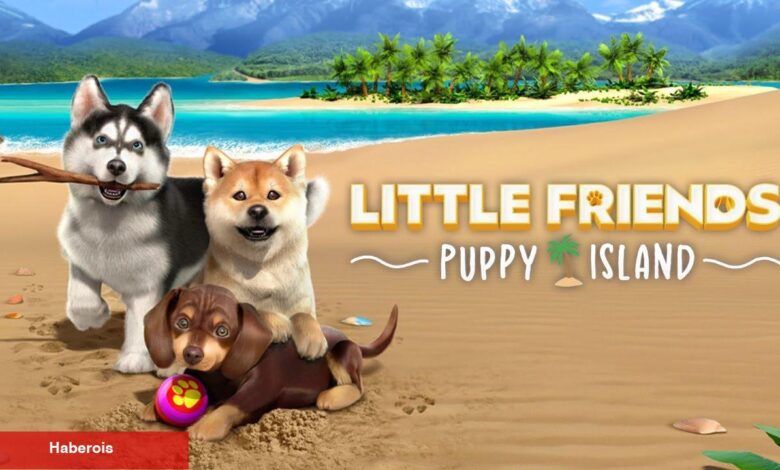 Little Friends: Puppy Island gerçekçi köpek yetiştirme tecrübesi sunmayı hedefliyor - Haberois Little Friends: Puppy Island gerçekçi köpek yetiştirme tecrübesi sunmayı hedefliyor