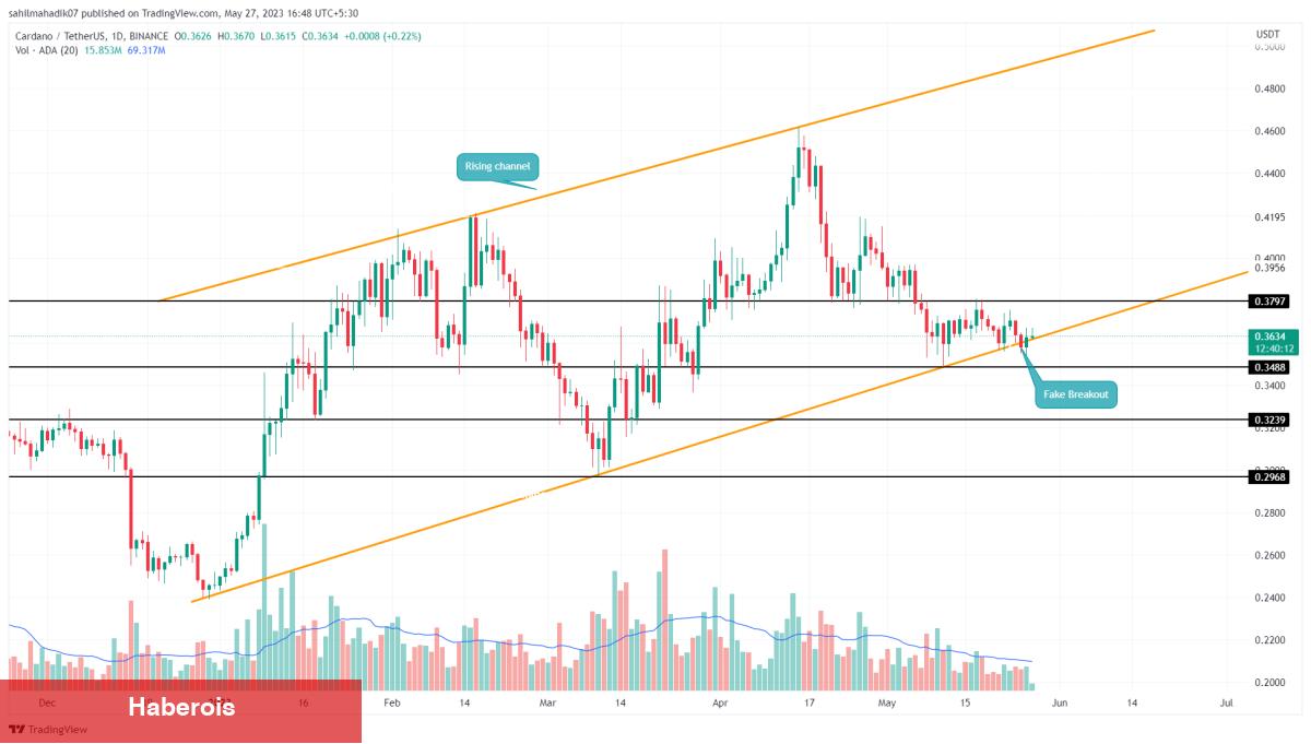 Mayıs Bitmeden Satın Alınacak En Yeterli 3 Altcoin!
