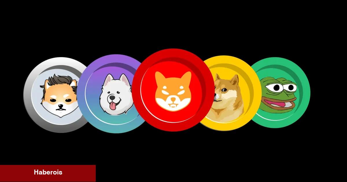 Messari: Bu Altcoin SHIB’ten Daha Süratli Büyüyebilir!