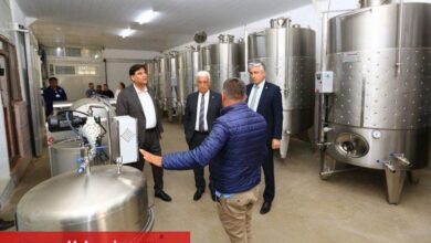 Muğla'ya üzüm suyu, sirke, pekmez ve şarap üretim tesisi