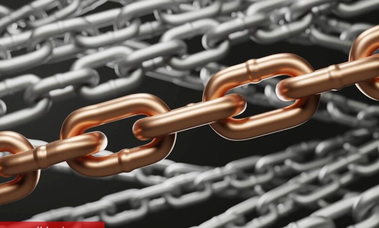 Multichain Olayı Büyüyor: Bu Altcoin Tedbir Almaya Başladı! - Haberois Multichain Olayı Büyüyor: Bu Altcoin Tedbir Almaya Başladı!