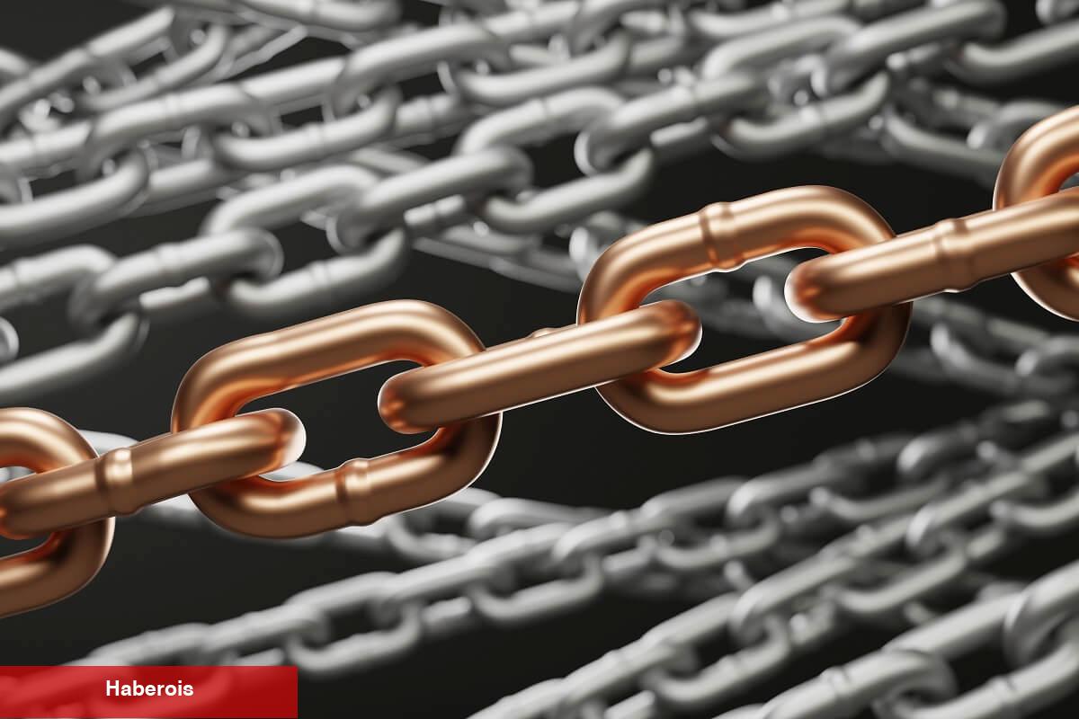 Multichain Olayı Büyüyor: Bu Altcoin Tedbir Almaya Başladı!