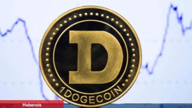 Nam Salan Analist, Dogecoin ve Bu Altcoinler İçin Uyardı!