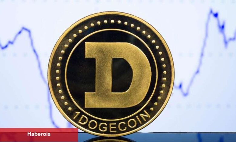 Nam Salan Analist, Dogecoin ve Bu Altcoinler İçin Uyardı! - Haberois Nam Salan Analist, Dogecoin ve Bu Altcoinler İçin Uyardı!