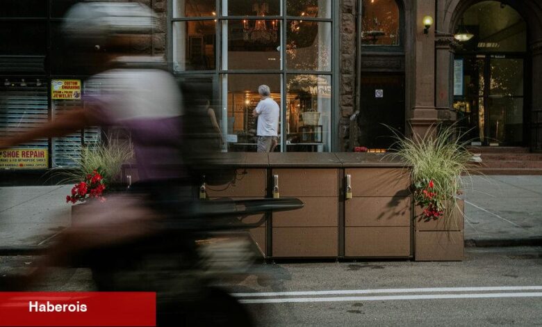 New York'un Dev Çöp Torbası Yığınları Neden Nesli Tükenmekte Olan Bir Tür Olabilir? - Haberois New York'un Dev Çöp Torbası Yığınları Neden Nesli Tükenmekte Olan Bir Tür Olabilir?