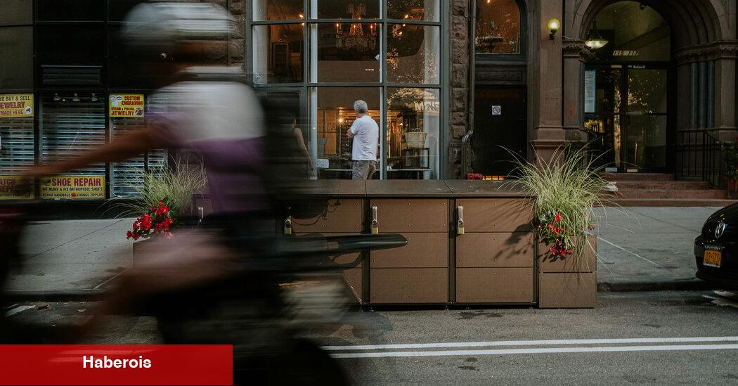 New York'un Dev Çöp Torbası Yığınları Neden Nesli Tükenmekte Olan Bir Tür Olabilir?