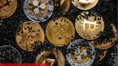 Önümüzdeki Hafta En Âlâ Potansiyele Sahip 4 Altcoin!
