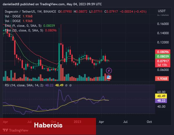 Önümüzdeki Haftalarda Kâr Hükümdarı Olabilecek 7 Altcoin! - Haberois Önümüzdeki Haftalarda Kâr Hükümdarı Olabilecek 7 Altcoin!