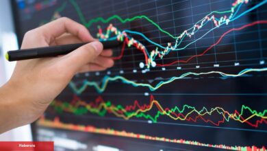 Önümüzdeki Haftalarda Kâr Hükümdarı Olabilecek 7 Altcoin!