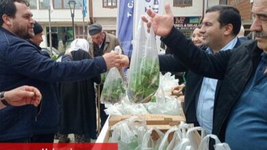 Pazaryeri Belediyesi'nden çiftçilere ücretsiz fide desteği - Haberois Pazaryeri Belediyesi'nden çiftçilere ücretsiz fide desteği