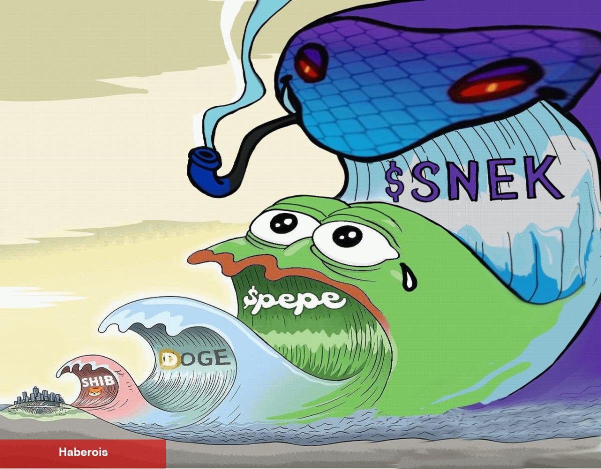 PEPE Bitti, Sıradaki Süratli At SNEK mi? Yüzde 23.000 Artış! - Haberois PEPE Bitti, Sıradaki Süratli At SNEK mi? Yüzde 23.000 Artış!