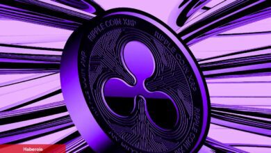 Ripple İçin 5 Bomba İddia Var! Büyük Haber mi Geliyor?