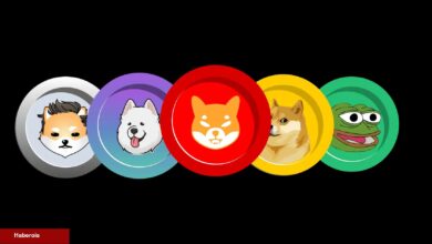 Santiment: Bu Altcoin, SHIB ve DOGE Üzere Büyük Olamaz!