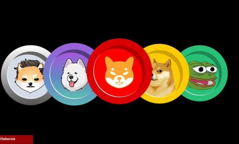 Santiment: Bu Altcoin, SHIB ve DOGE Üzere Büyük Olamaz! - Haberois Santiment: Bu Altcoin, SHIB ve DOGE Üzere Büyük Olamaz!