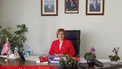 Serap Şule Kalın Milliyetçiler Günü mesajı