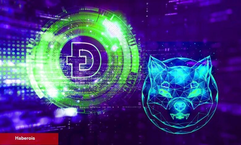 SHIB, DOGE, LINK ve BNB: Haftaya Bu Sayılar Bekleniyor! - Haberois SHIB, DOGE, LINK ve BNB: Haftaya Bu Sayılar Bekleniyor!