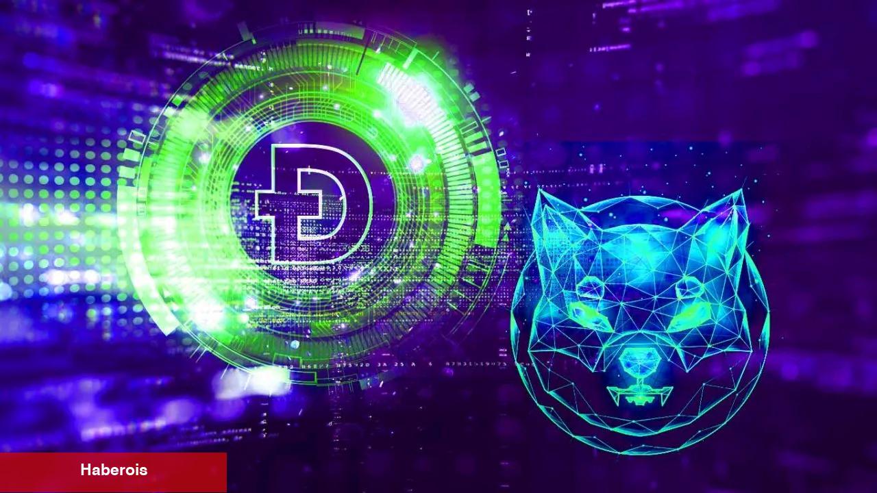 SHIB, DOGE, LINK ve BNB: Haftaya Bu Sayılar Bekleniyor!