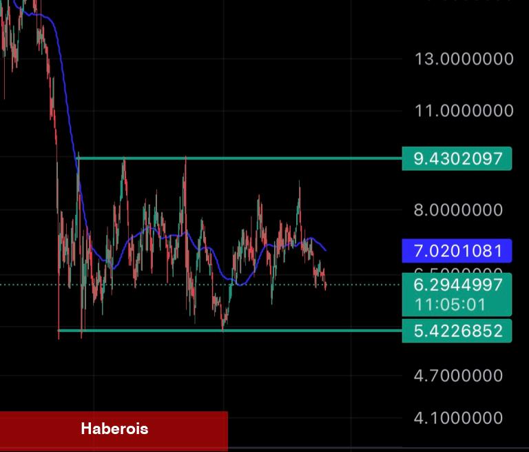 SHIB, ETH, LINK, MATIC, BTC ve PEPE İçin Sırada Ne Var?