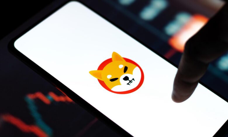 Shiba Inu Kritik Duyurular Yapıp, Tarih Bile Verdi! - Haberois Shiba Inu Kritik Duyurular Yapıp, Tarih Bile Verdi!
