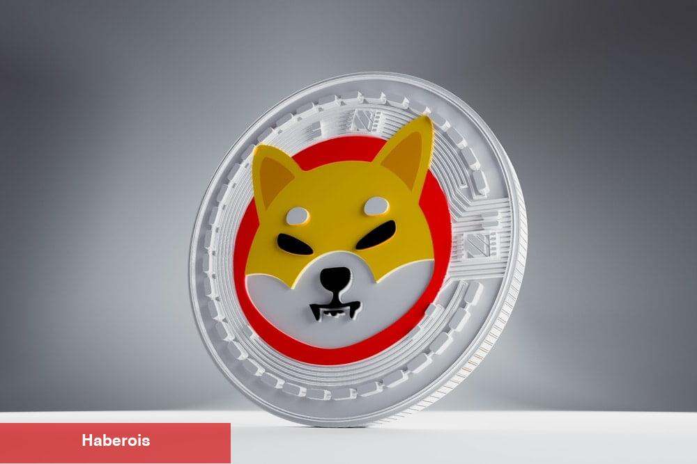 Shiba Inu (SHIB)’yu Satmanın Vakti Geldi mi?