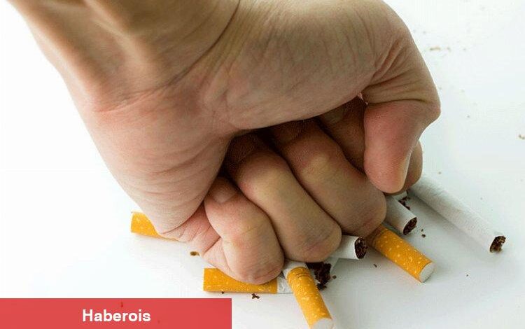 Sigara bağımlılarına '31 Mayıs' çağrısı! - Haberois Sigara bağımlılarına '31 Mayıs' çağrısı!