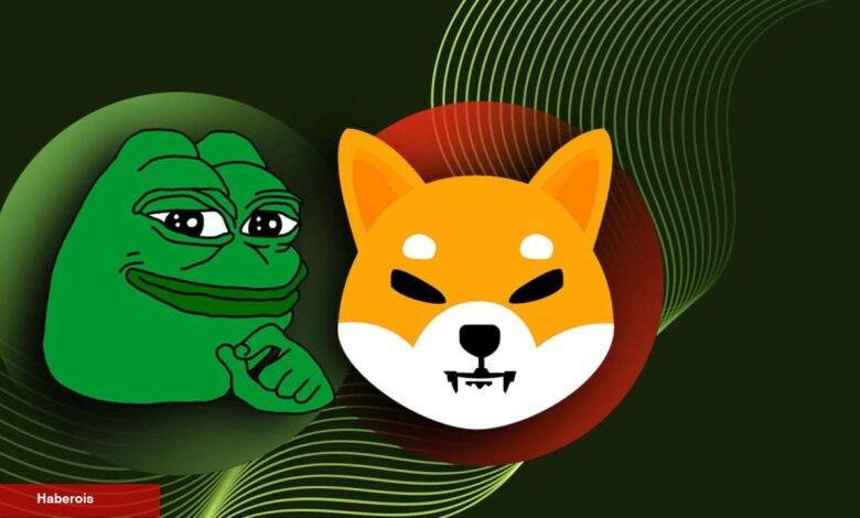 Sıradaki PEPE, SHIB’i Kaçırmamak İçin Bu Balinaları İzleyin! - Haberois Sıradaki PEPE, SHIB’i Kaçırmamak İçin Bu Balinaları İzleyin!
