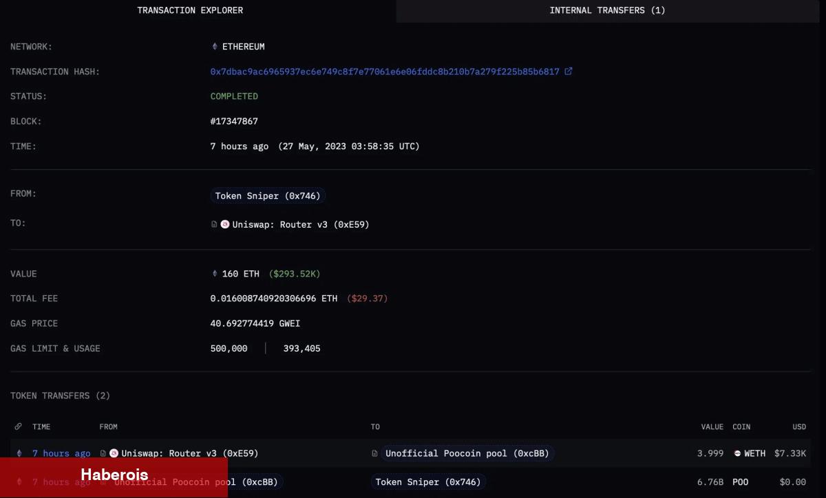 Tanınan Altcoin Ağında Bot Kazası! Kayıp Büyük