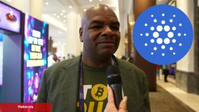Tanınan Yatırımcı: Cardano Satıp, Bu Altcoinleri Alacağım!