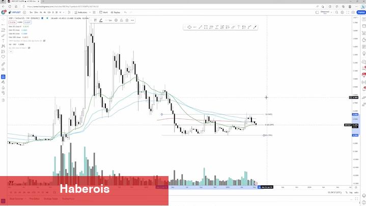 Tecrübeli Analist, En Yeterli Altcoin Alım Fırsatlarını Paylaştı!