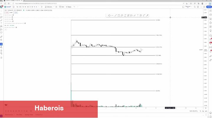 Tecrübeli Analist, En Yeterli Altcoin Alım Fırsatlarını Paylaştı!