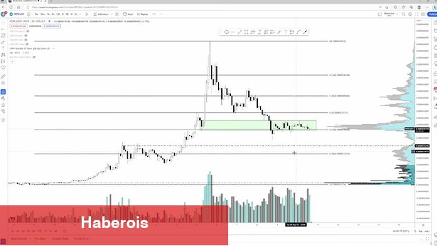 Tecrübeli Analist, En Yeterli Altcoin Alım Fırsatlarını Paylaştı!