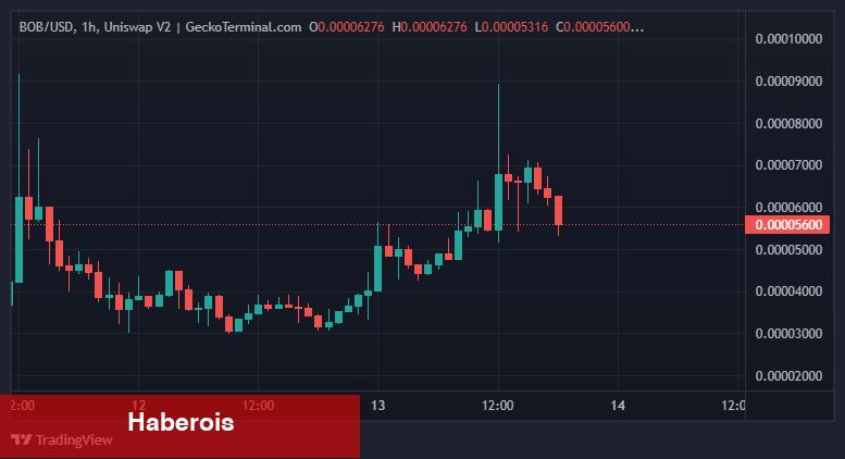 Tekrar Elon Musk! Tek Tweetle Bu Altcoin’lere 5x Yaptırdı!