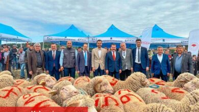 Tescilli Balıkesir Kuzusu'na destek