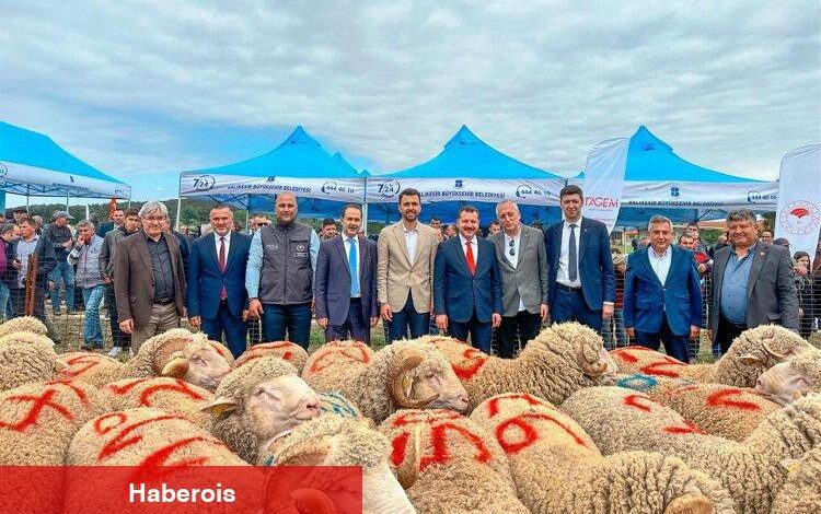 Tescilli Balıkesir Kuzusu'na destek