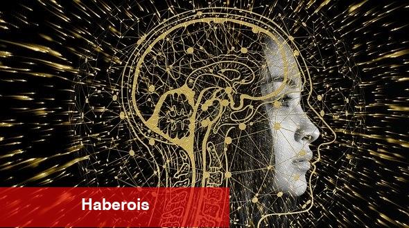 TTB Başkanı Dr. Fincancı İle Sağlıkta Dijitalleşme Üzerine Söyleşi - Haberois TTB Başkanı Dr. Fincancı İle Sağlıkta Dijitalleşme Üzerine Söyleşi