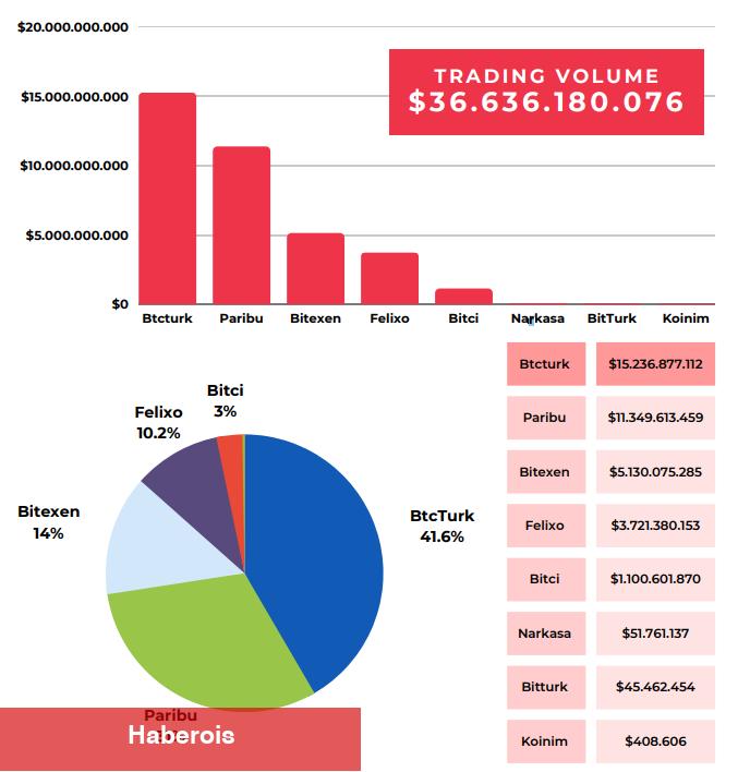 Türk Kripto Piyasası: Hangi Coinler ve Borsalar Öne Çıkıyor? - Haberois Türk Kripto Piyasası: Hangi Coinler ve Borsalar Öne Çıkıyor?