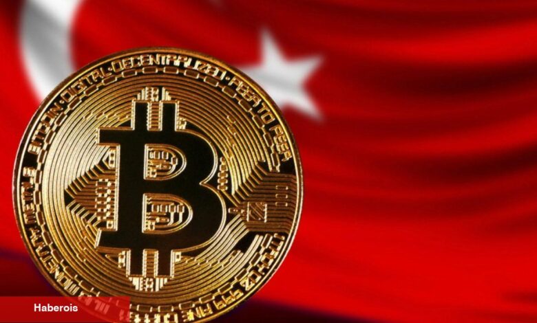 Türk Kripto Piyasası: Hangi Coinler ve Borsalar Öne Çıkıyor? - Haberois Türk Kripto Piyasası: Hangi Coinler ve Borsalar Öne Çıkıyor?