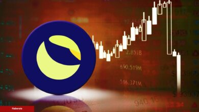 Türklerin Aldığı Altcoin İçin Kritik Oylama: Binance Destekleyebilir!