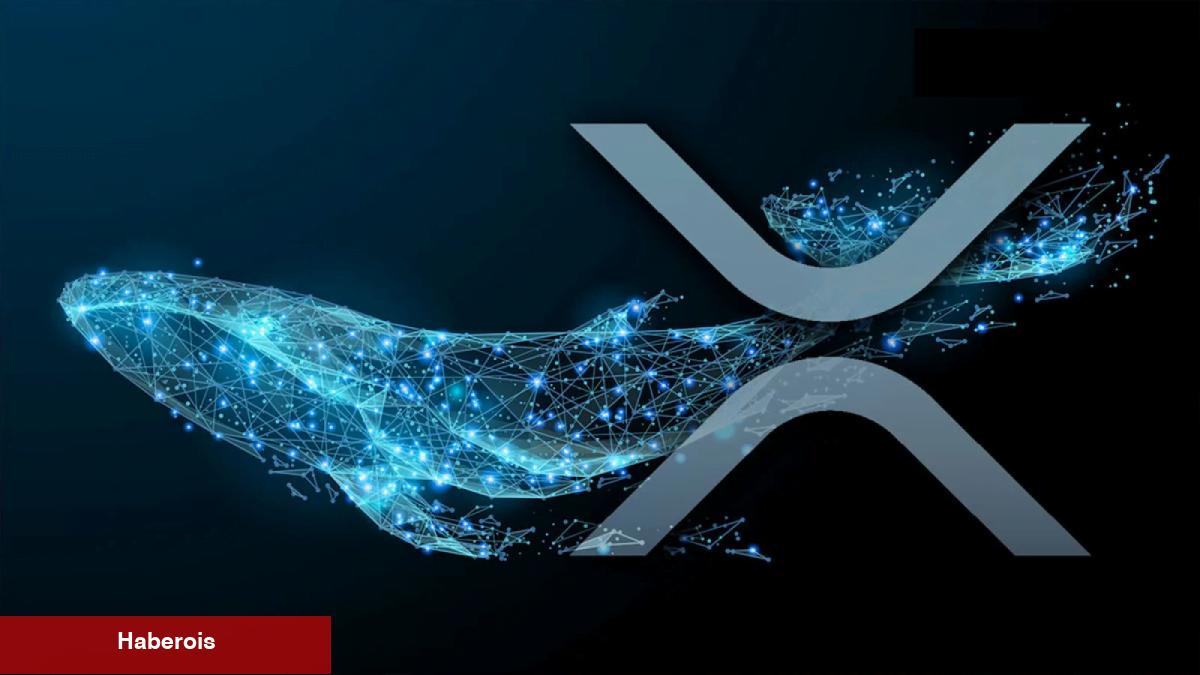 Türklerin Sepetindeki 2 Altcoin İçin Balina Alarmı!