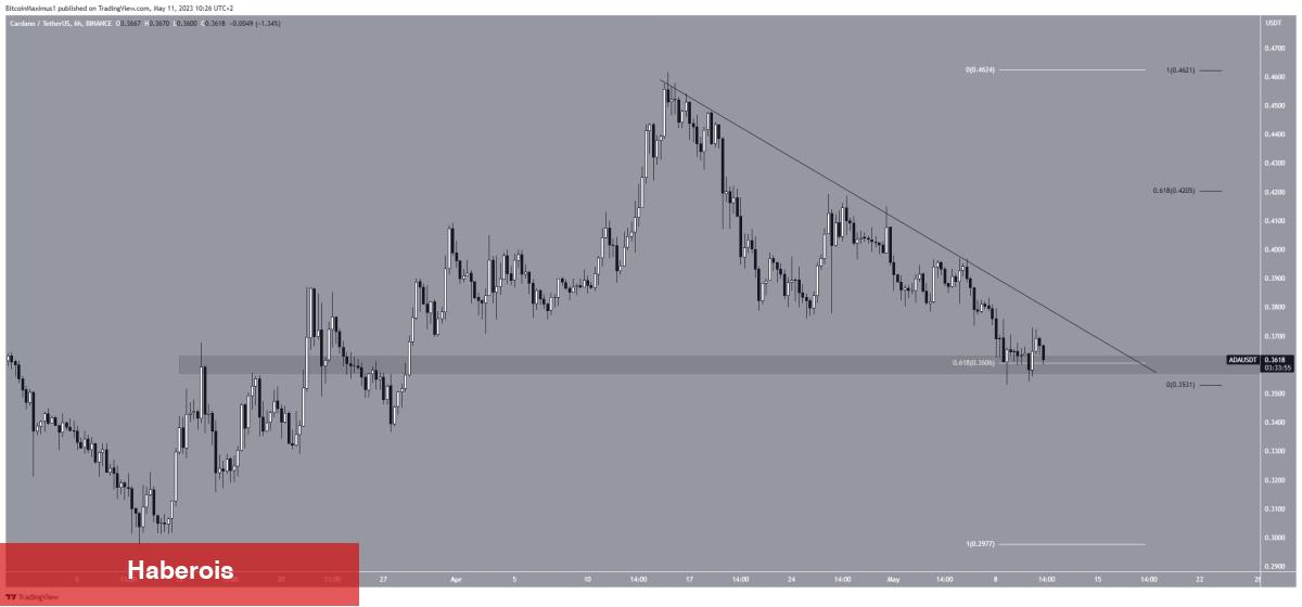 Türklerin Sepetindeki Bu 4 Altcoin İçin Korkutan Düşüş Uyarısı!