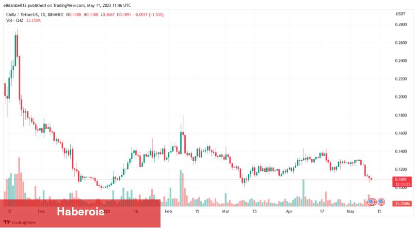 Türklerin Sepetindeki Bu 4 Altcoin İçin Korkutan Düşüş Uyarısı!
