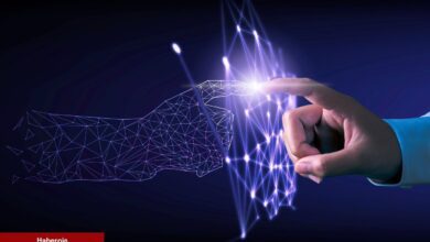 Türklerin Sepetindeki Metaverse Coin Kıymetli Muştuyu Verdi!